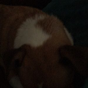 Meet your Posher, Ayden